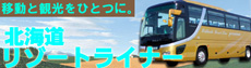 summer-resortliner20110331.jpg