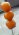 �����Τޤ�ݡ�����